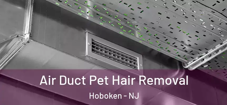  Air Duct Pet Hair Removal Hoboken - NJ