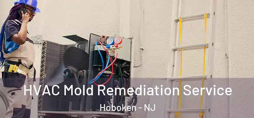  HVAC Mold Remediation Service Hoboken - NJ