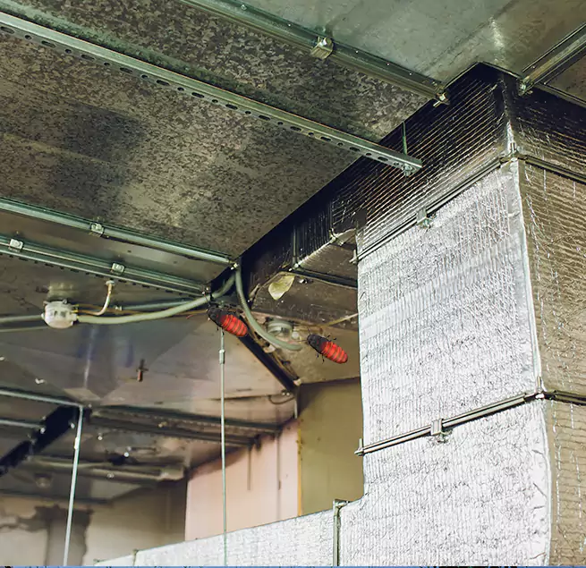 Why Homeowners & Businesses Trust Us in Hoboken, NJ?