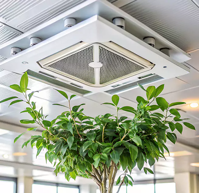 Why Homeowners & Businesses Trust Us in Hoboken, NJ?